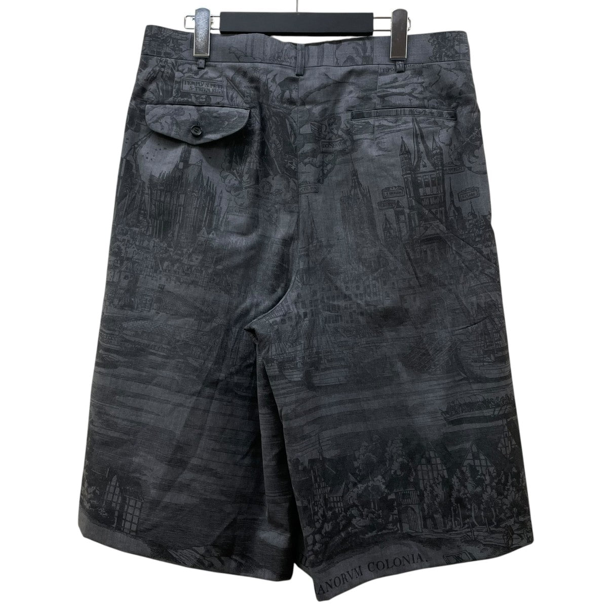 COMME des GARCONS HOMME PLUS Printed wide-leg shortsグラフィック プリント ワイドハーフパンツPE P016 古着・中古-2枚目のアイテム画像