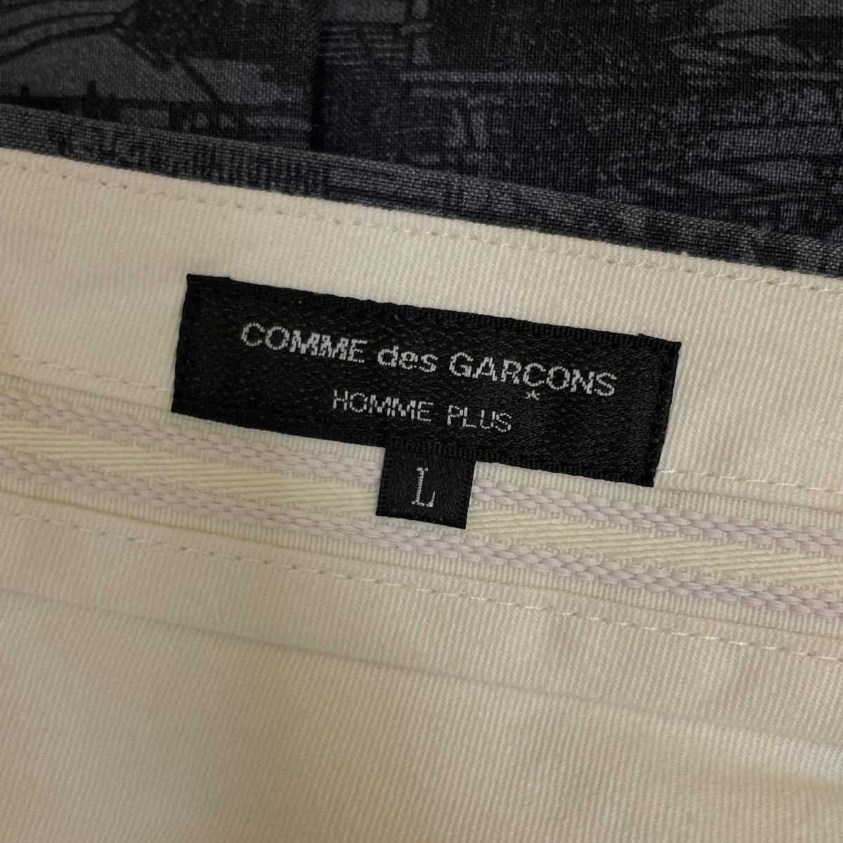 COMME des GARCONS HOMME PLUS Printed wide-leg shortsグラフィック プリント ワイドハーフパンツPE P016 古着・中古-6枚目のアイテム画像
