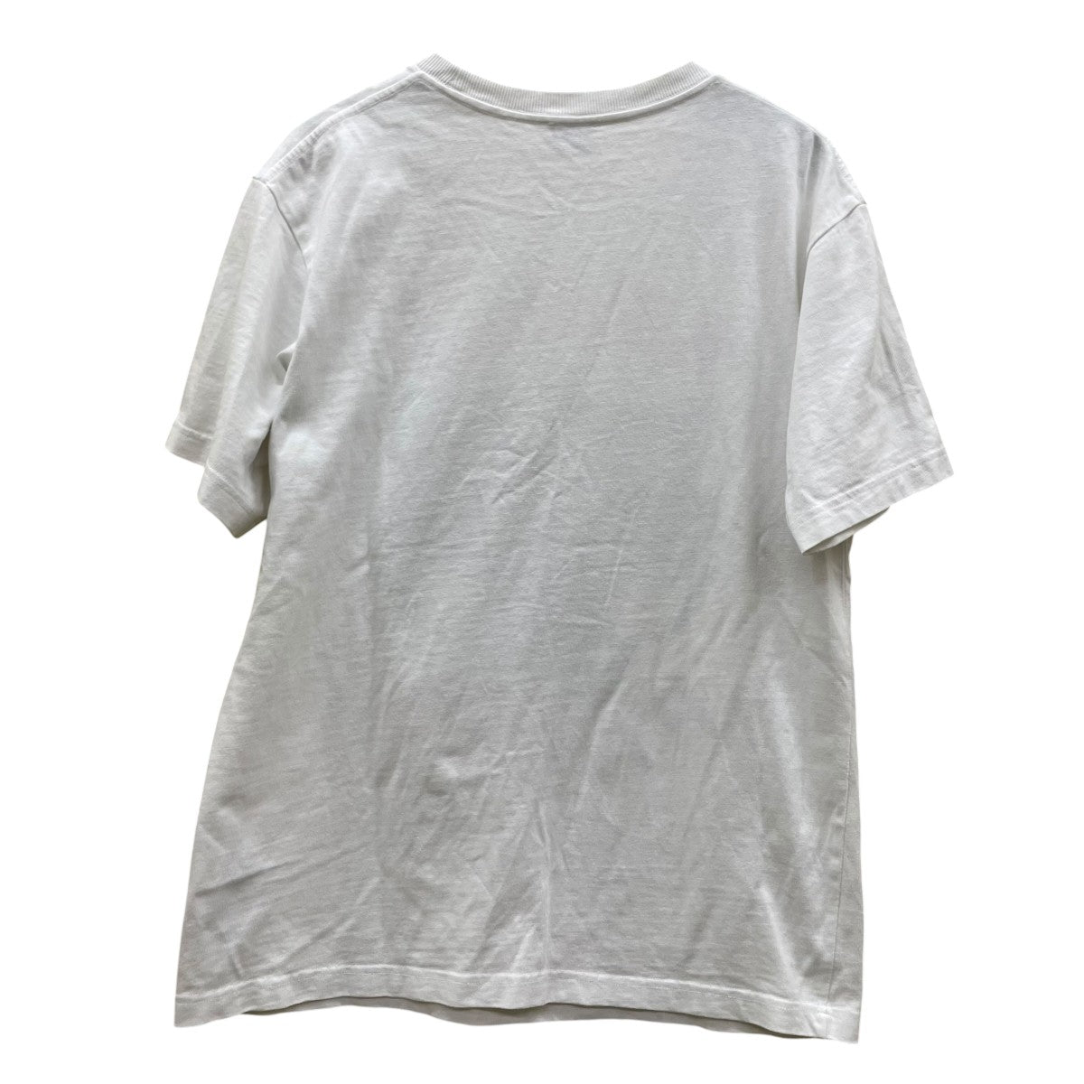 Lucky Tiger Embroidered T-Shirt ラッキータイガー 刺繍 オーバーサイズ Tシャツエンボス刺繍 半袖Tシャツ コットンTシャツFE68TS0084SI