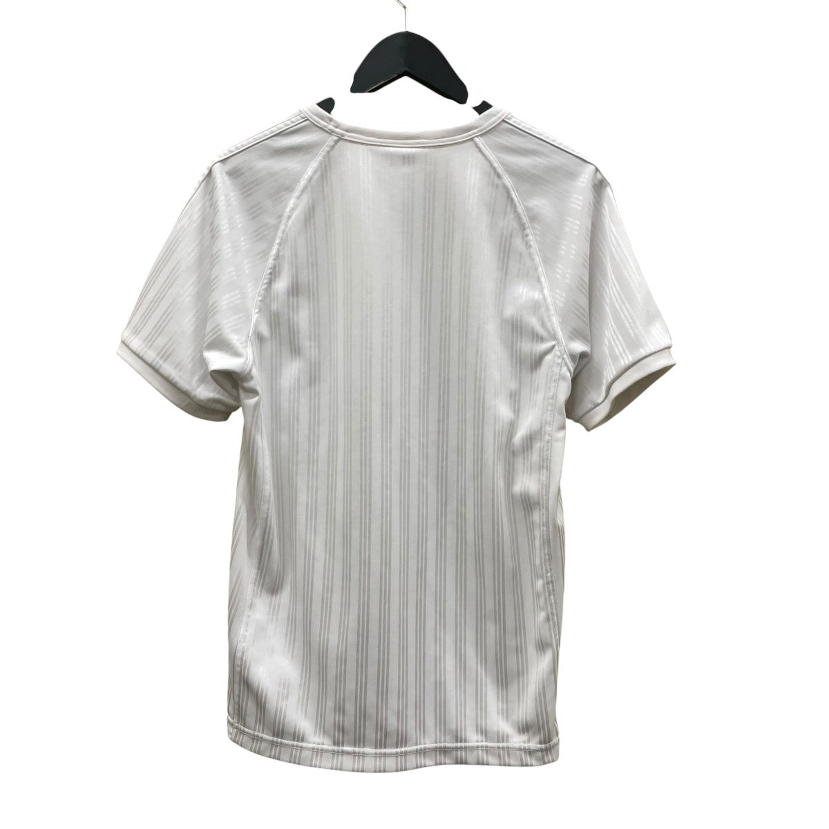 TシャツIP3093