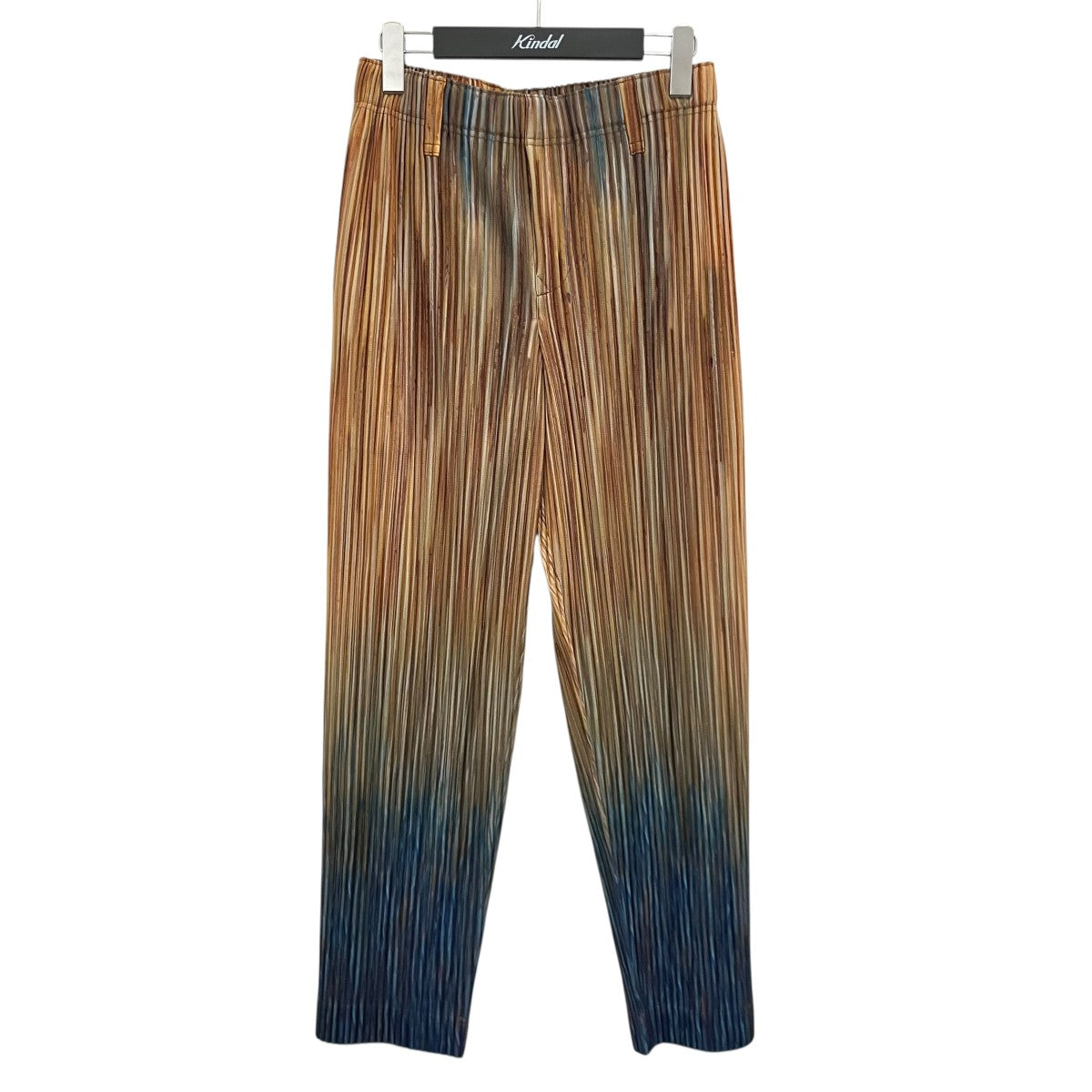 HOMME PLISSE ISSEY MIYAKE 26SS【PAINT BRUSH CLOSE-UP】プリーツパンツHP61JF217 古着・中古-1枚目のアイテム画像