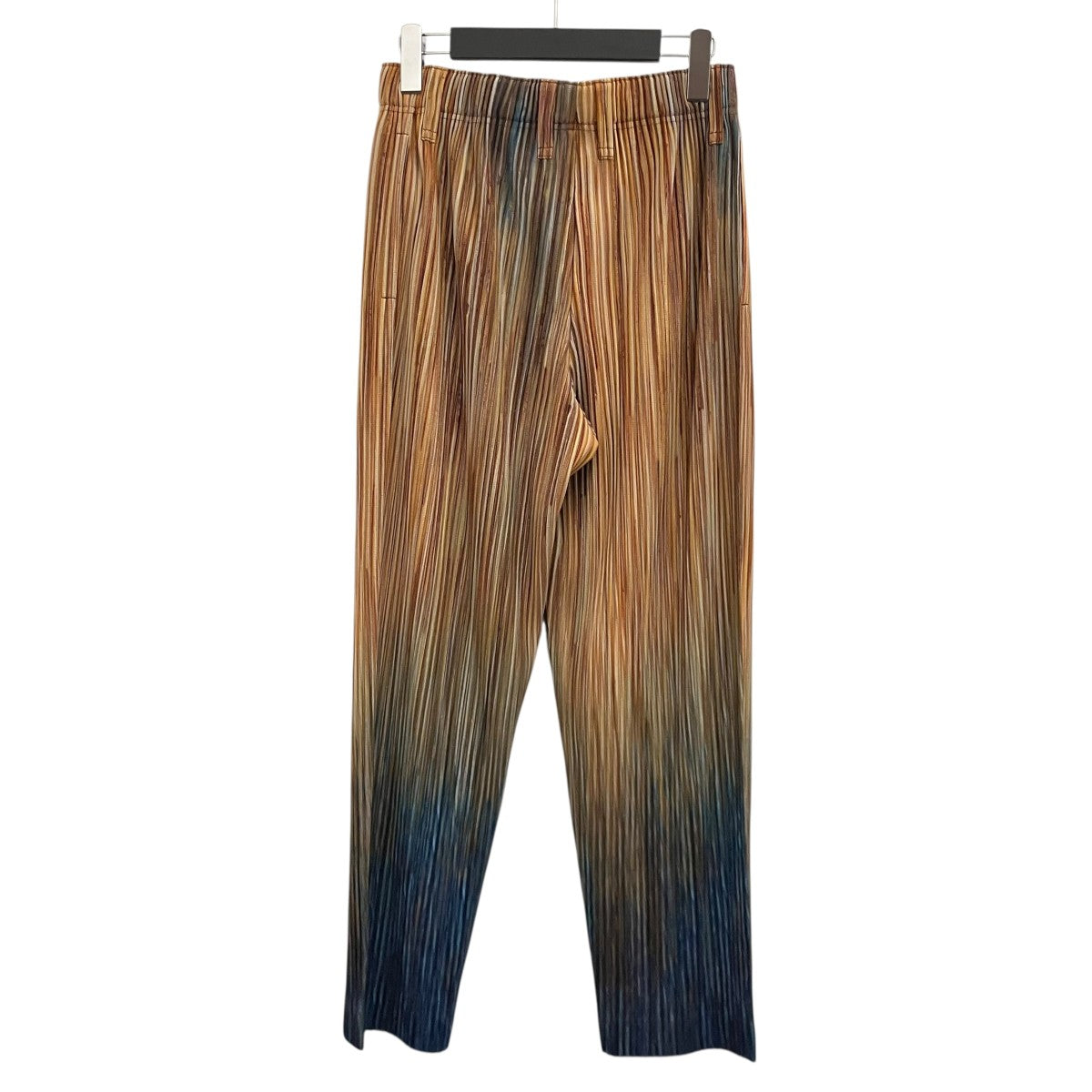 HOMME PLISSE ISSEY MIYAKE 26SS【PAINT BRUSH CLOSE-UP】プリーツパンツHP61JF217 古着・中古-2枚目のアイテム画像