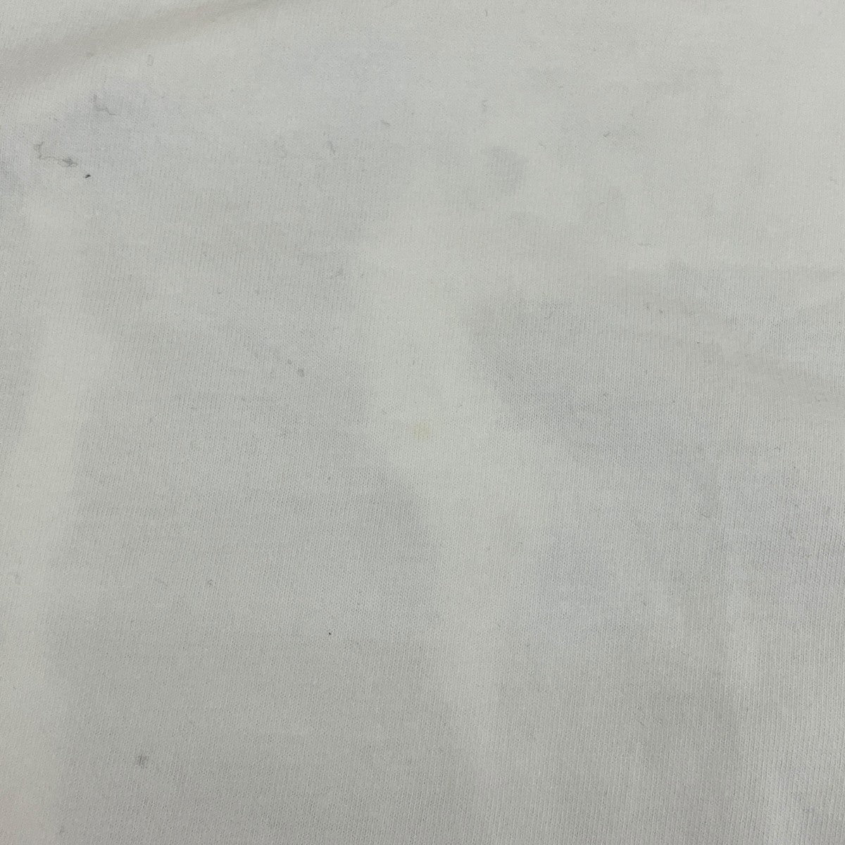 Dog Person半袖Tシャツ