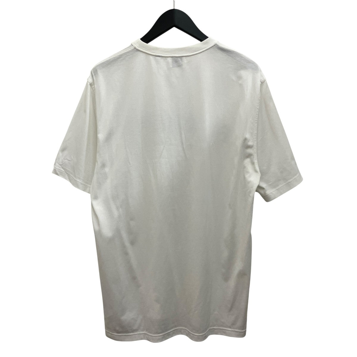 ロゴTシャツ8009495