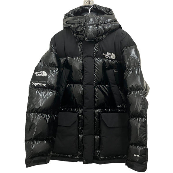 Supreme×THE NORTH FACE 22AW【700-Fill Down Parka】ダウンジャケット