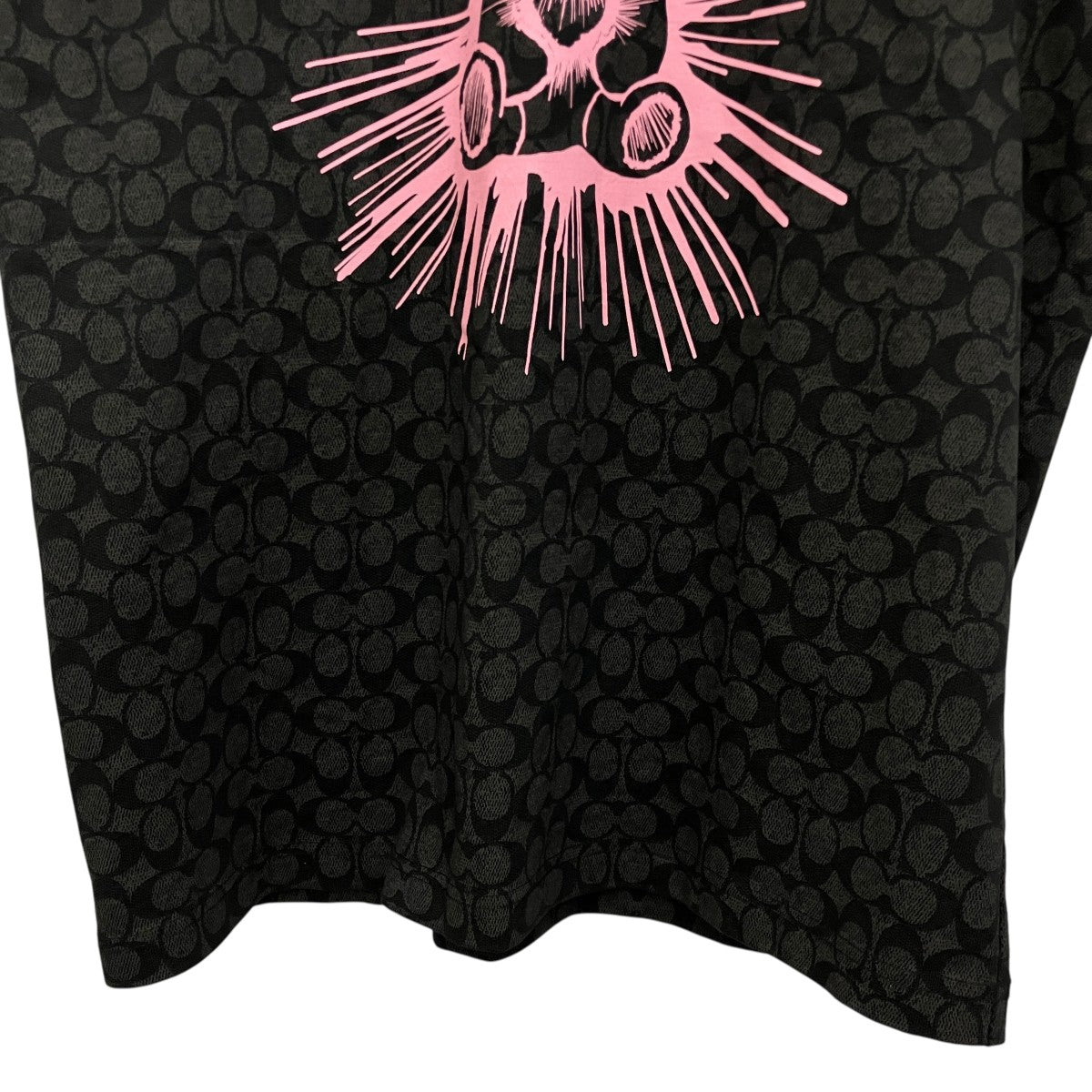 レイヴ ベア TシャツCF048