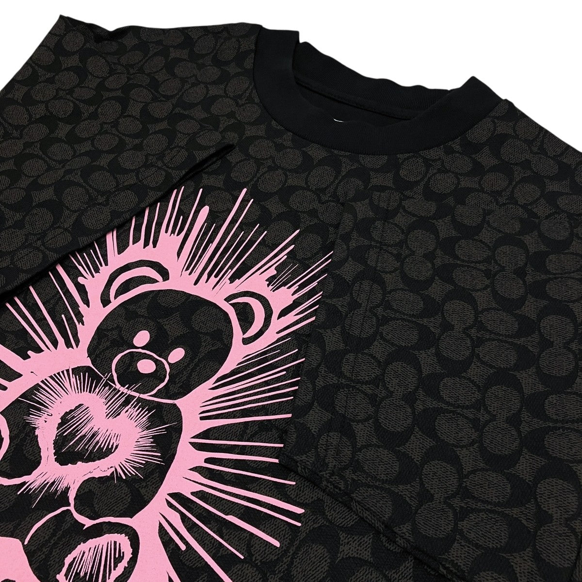 レイヴ ベア TシャツCF048
