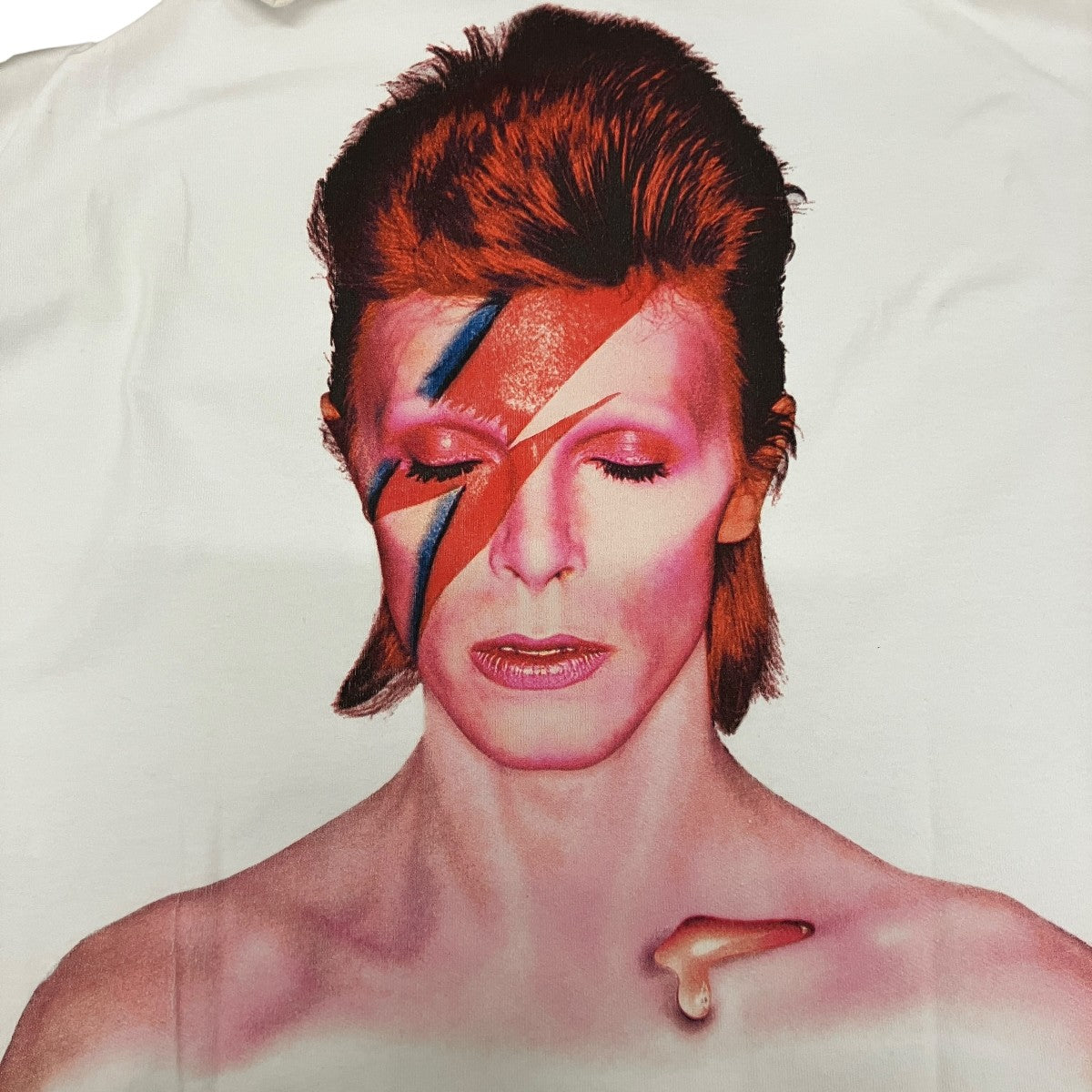 【David Bowie Tee】ダメージ加工プリントTシャツ