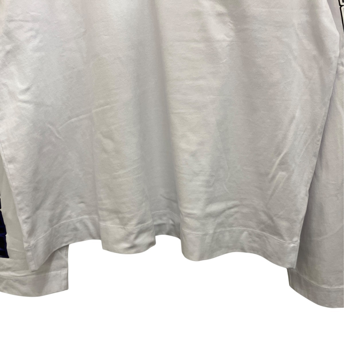 23SS【HEGLAND PR EMB 6603 M．K． JERSEY】ロングスリーブカットソー231-1581