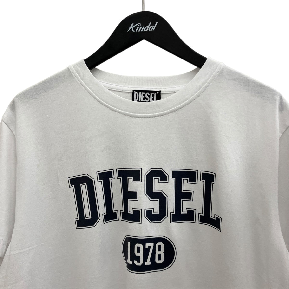 【T-DIEGOR 1-A】プリントTシャツA16848