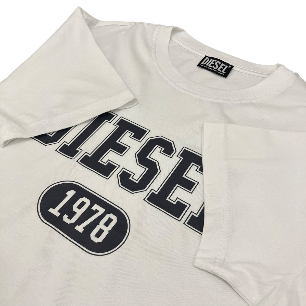 【T-DIEGOR 1-A】プリントTシャツA16848