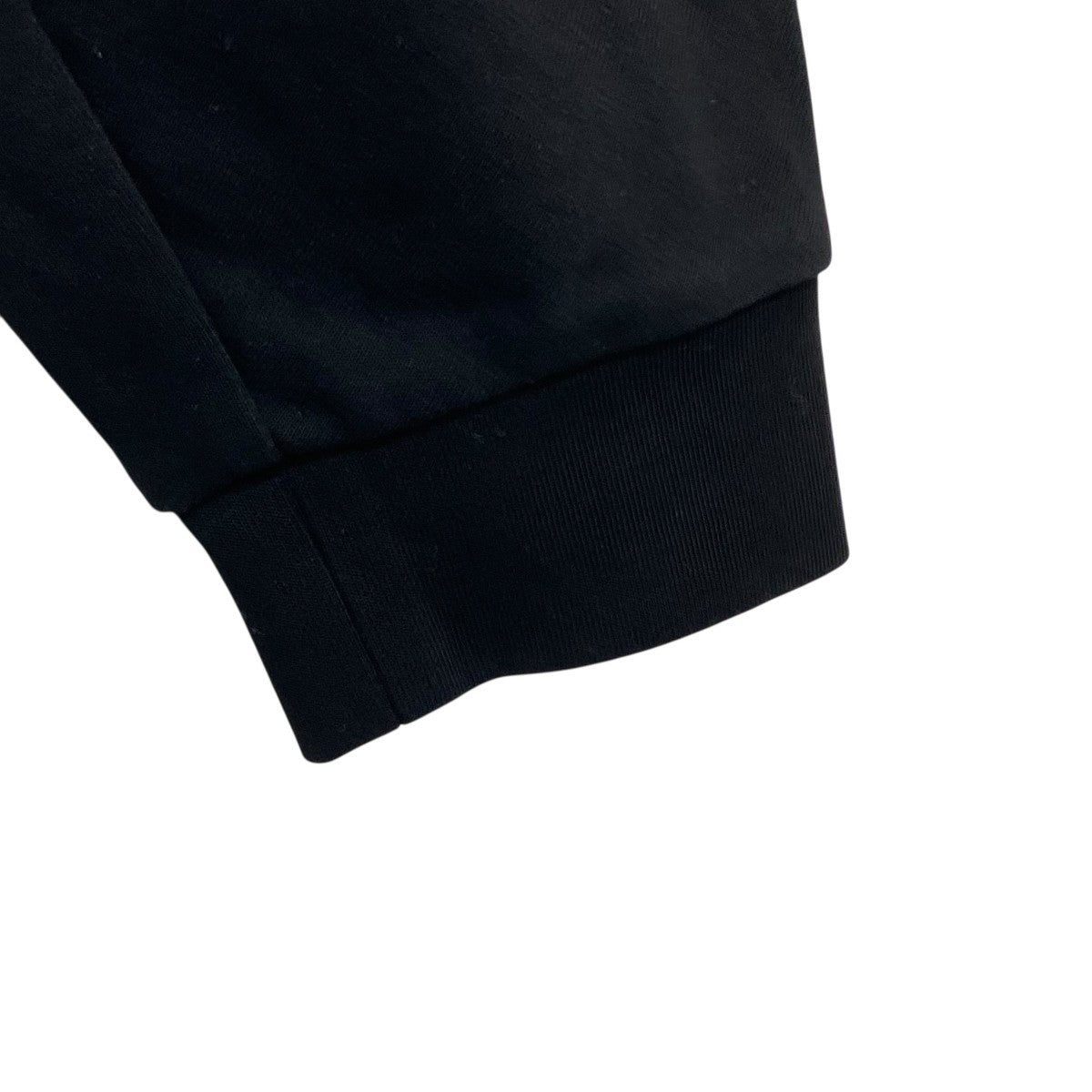 CO PE DOUBLE KNIT SWEAT SHIRTSクルーネックスウェットAJ31-009