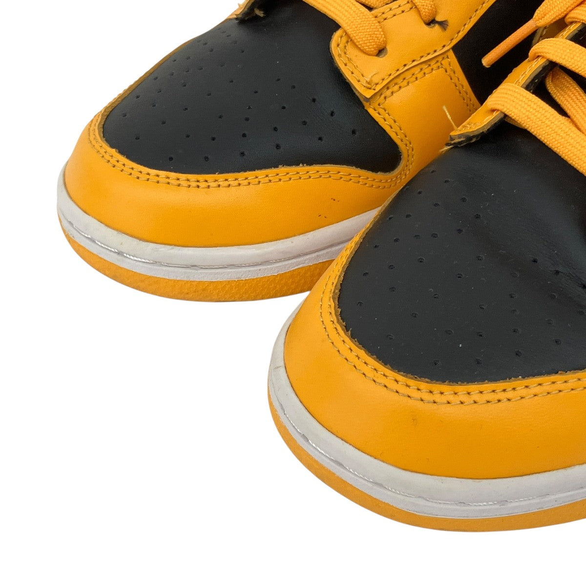 Dunk Low Championship GoldenrodローカットスニーカーDD1391-004