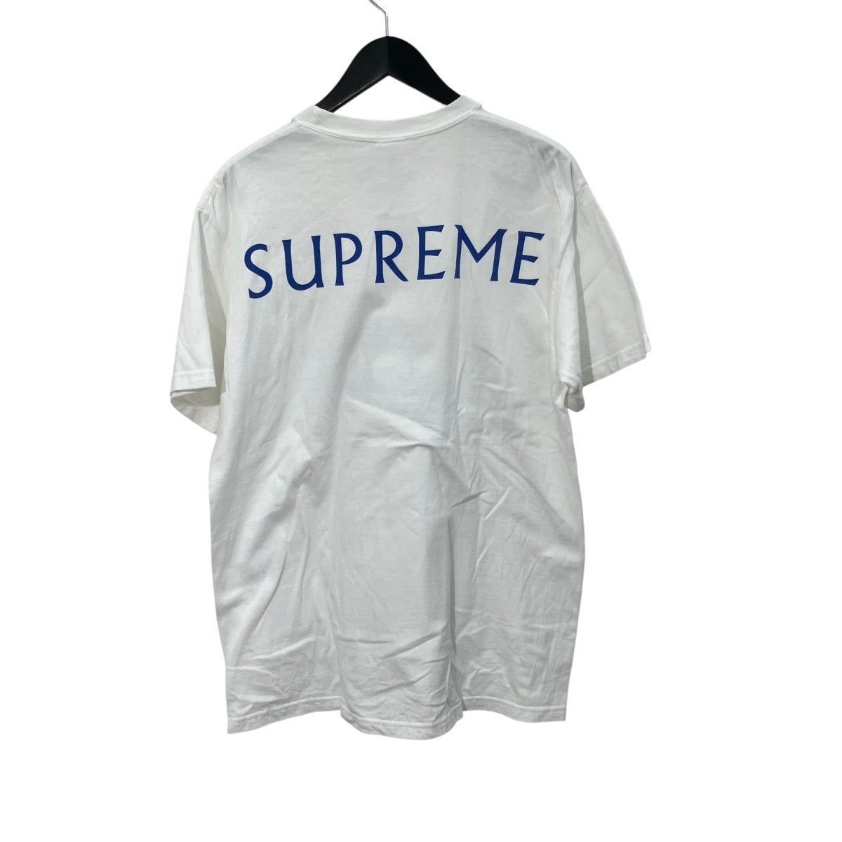 damien hirst tee半袖Tシャツ