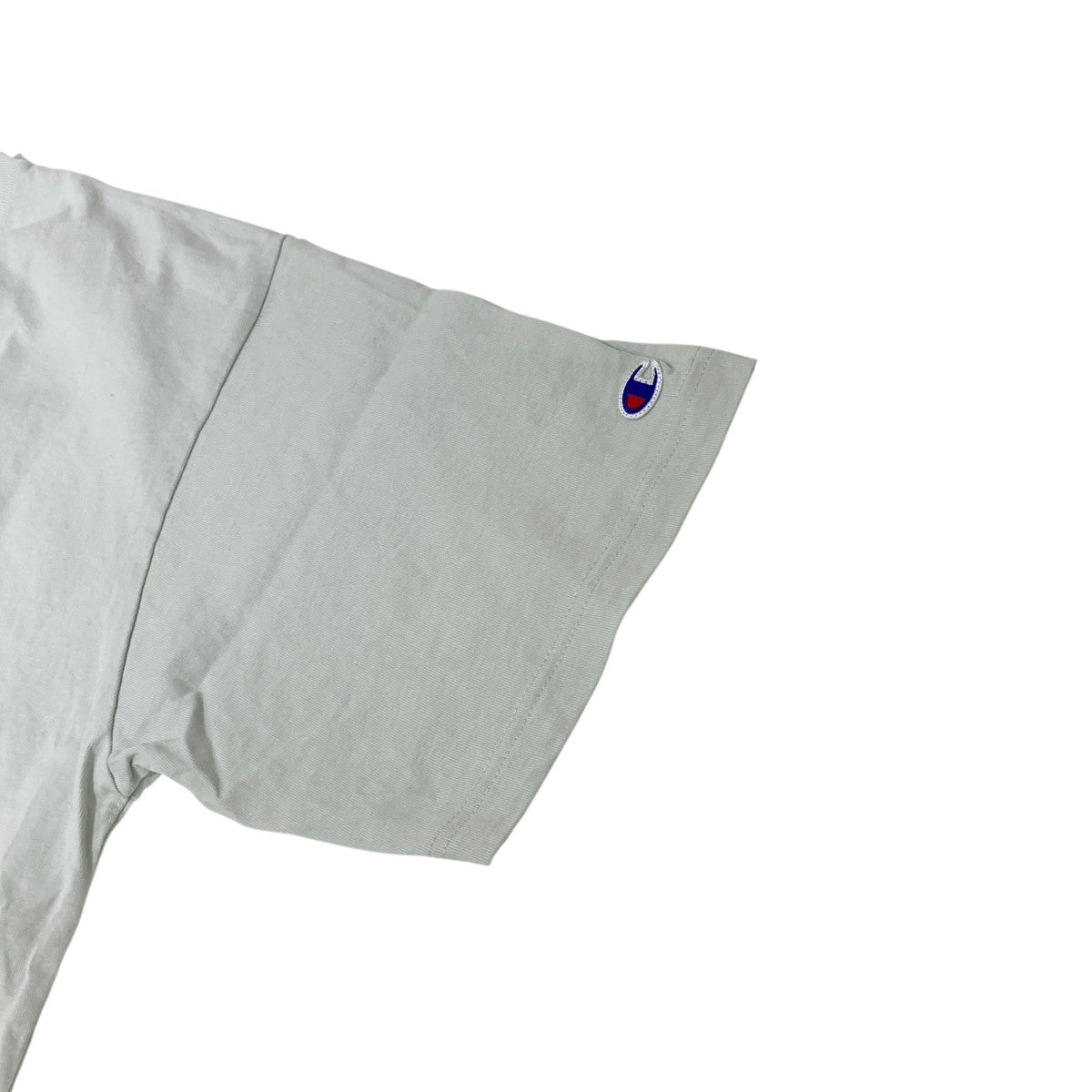 V．A． TOKYO×Champion VA FRAGMENT グロピウスTシャツ 古着・中古-6枚目のアイテム画像