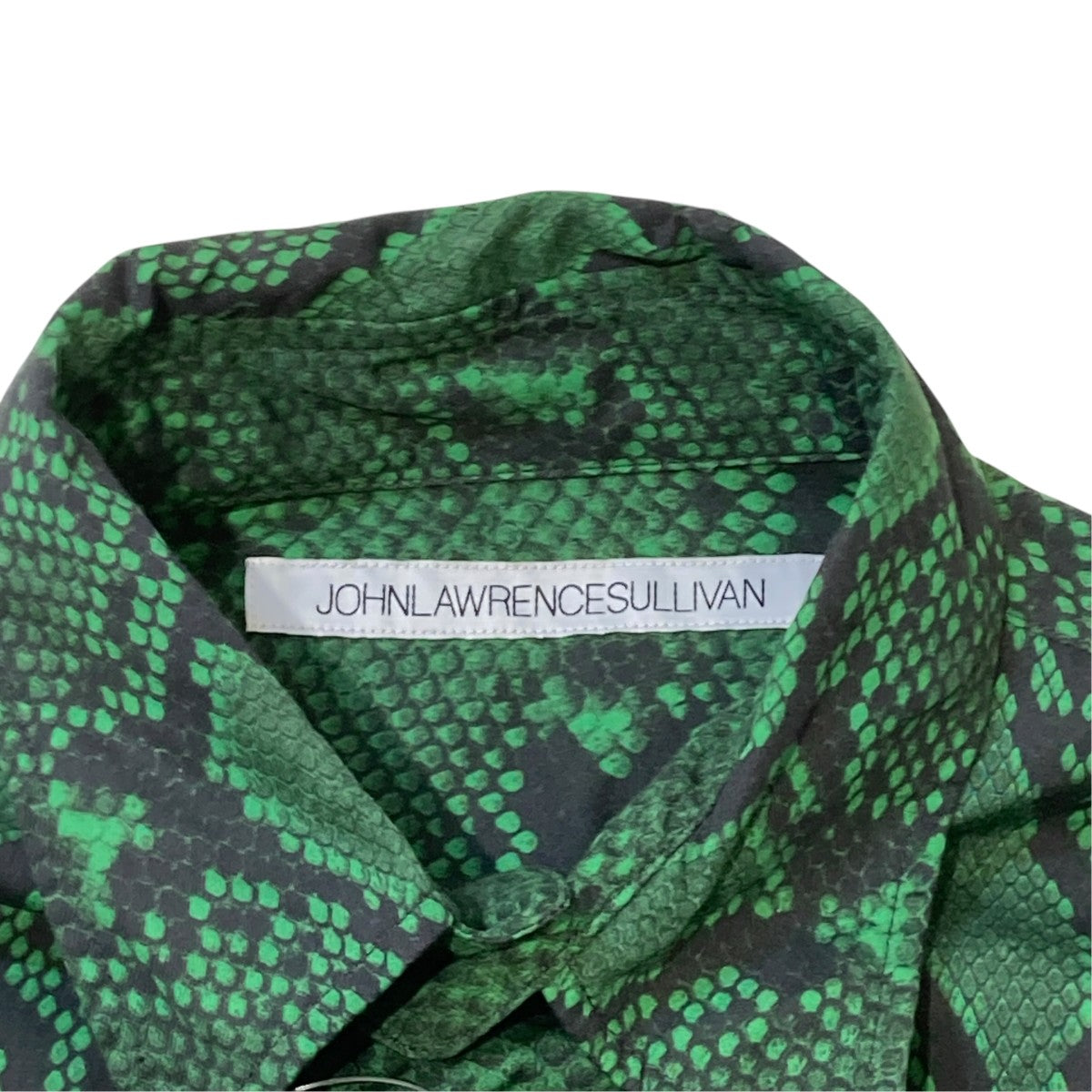 PYTHON PRINTED COTTON REGULAR COLLAR SHIRTパイソン柄総柄シャツ／長袖シャツ3B001-0219-37