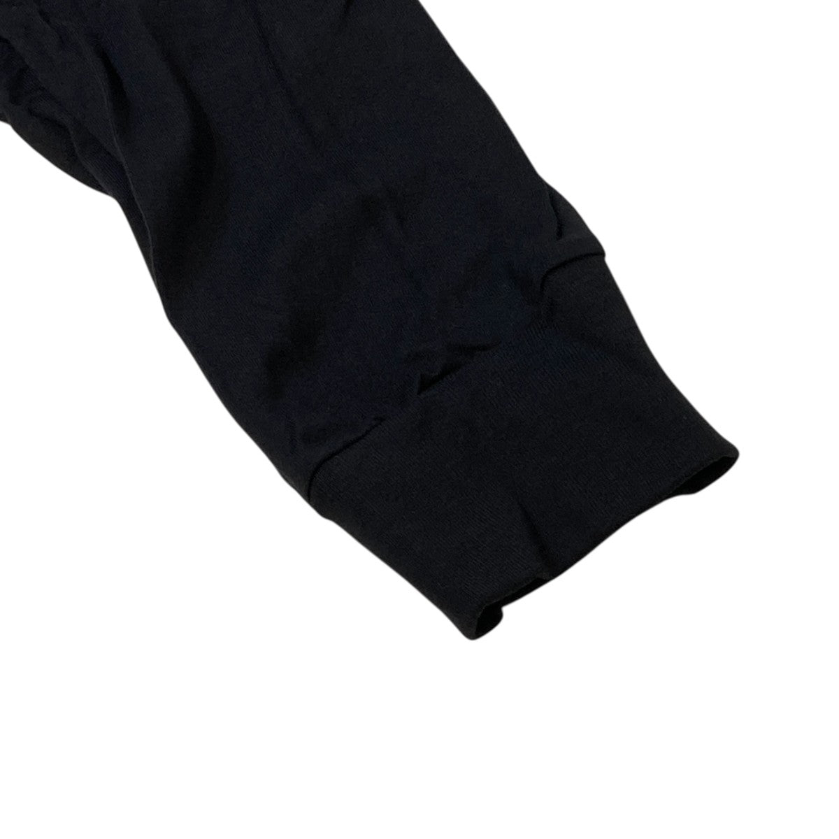 ARC’TERYX Multi Bird Logo LS長袖TシャツX000007746 古着・中古-5枚目のアイテム画像
