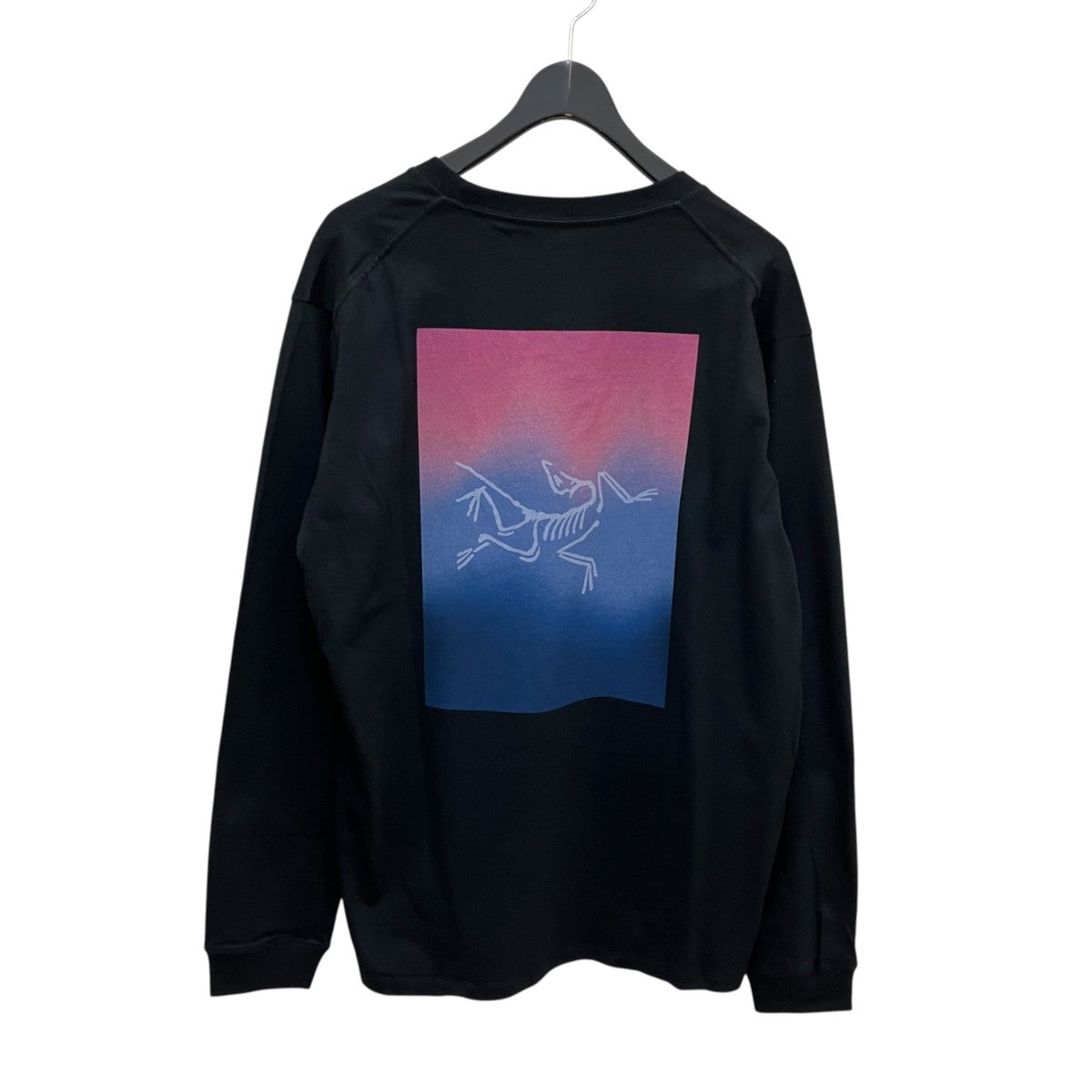 ARC’TERYX Kragg Cotton Heatmap LS長袖TシャツX000008482 古着・中古-3枚目のアイテム画像