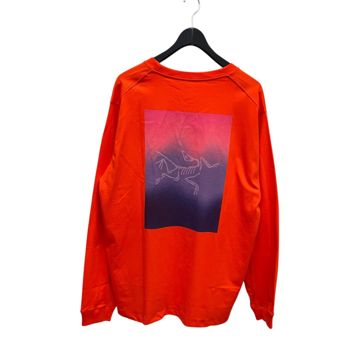 ARC’TERYX Kragg Cotton Heatmap LS長袖TシャツX000008482 古着・中古-3枚目のアイテム画像