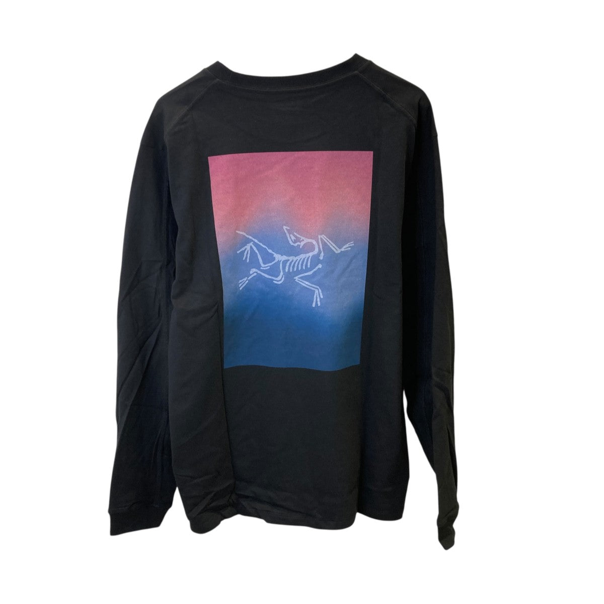 ARC’TERYX Kragg Cotton Heatmap LS長袖TシャツX000008482 古着・中古-3枚目のアイテム画像