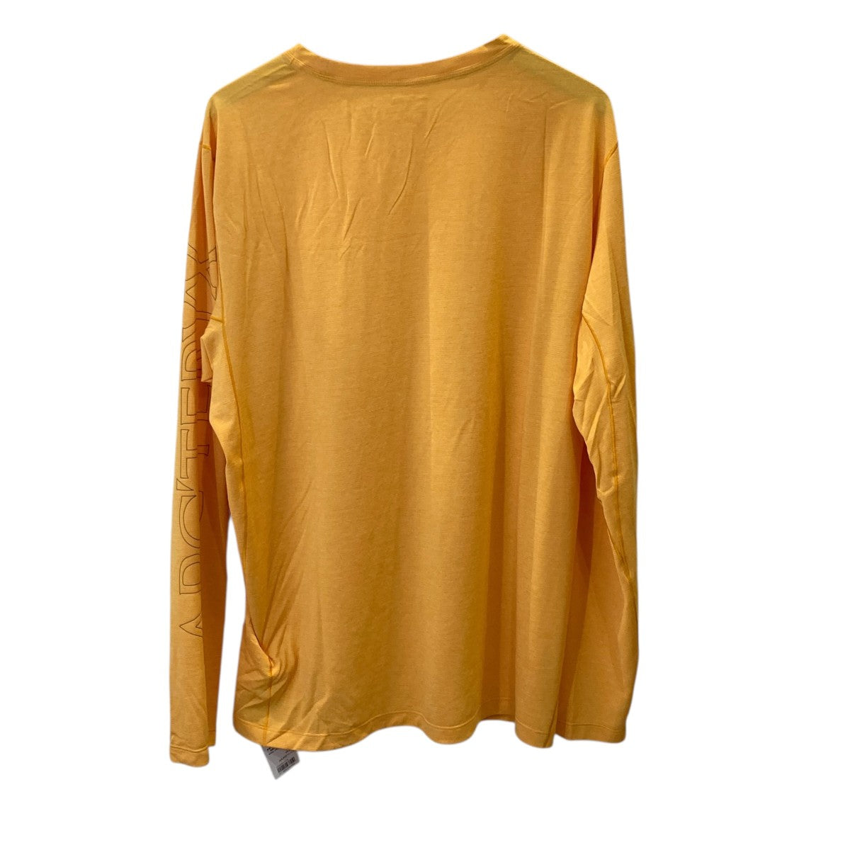 ARC’TERYX CORMAC ARC’WORD LS TEE長袖TシャツX000008057 古着・中古-3枚目のアイテム画像